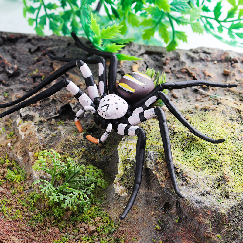 Oenux Insect Animals Model Spi - Photography Online recension och pris