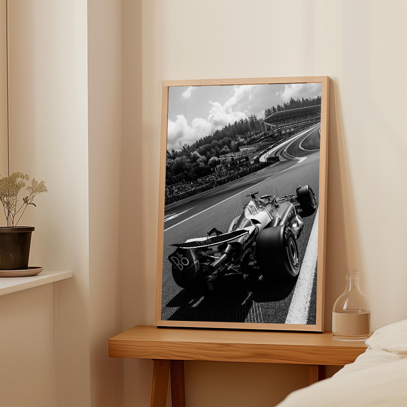 1pc frameless Black White Mona - Photography Quotes recension och pris