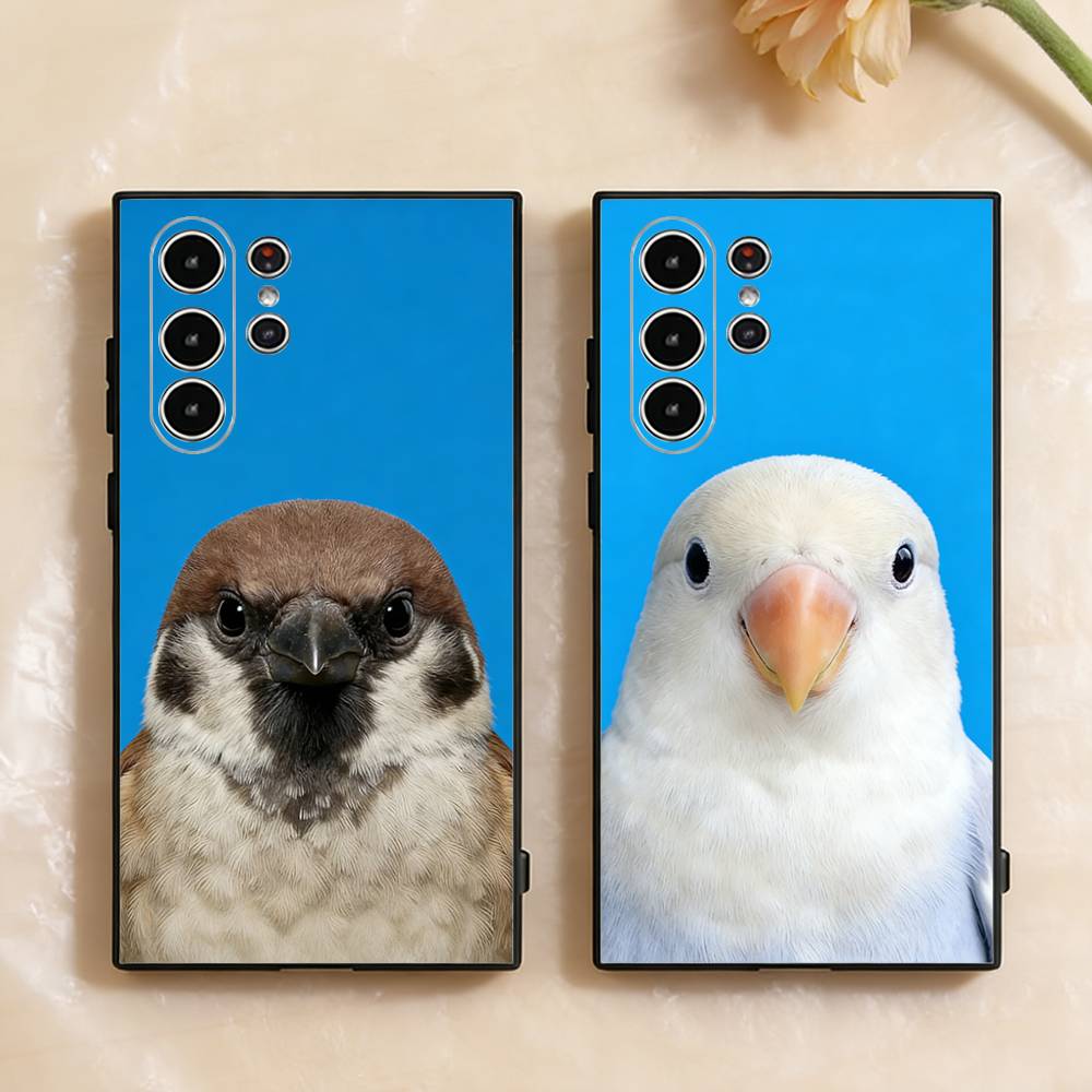 Funny Bird Photography Phone C - Photography Quotes recension och pris