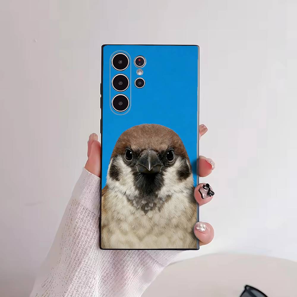Funny Bird Photography Phone C - Photography Quotes recension och pris