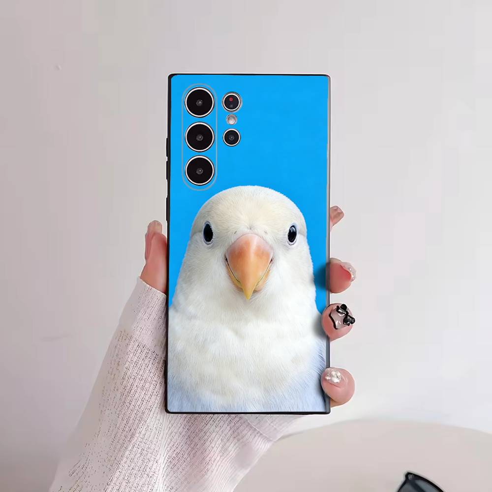 Funny Bird Photography Phone C - Photography Quotes recension och pris