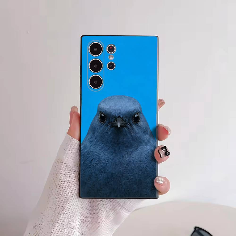 Funny Bird Photography Phone C - Photography Quotes recension och pris