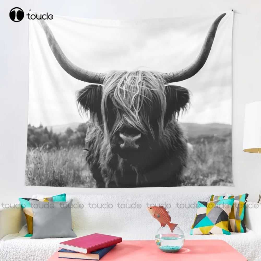 Scottish Highland Cattle - Bla - Photography Online recension och pris