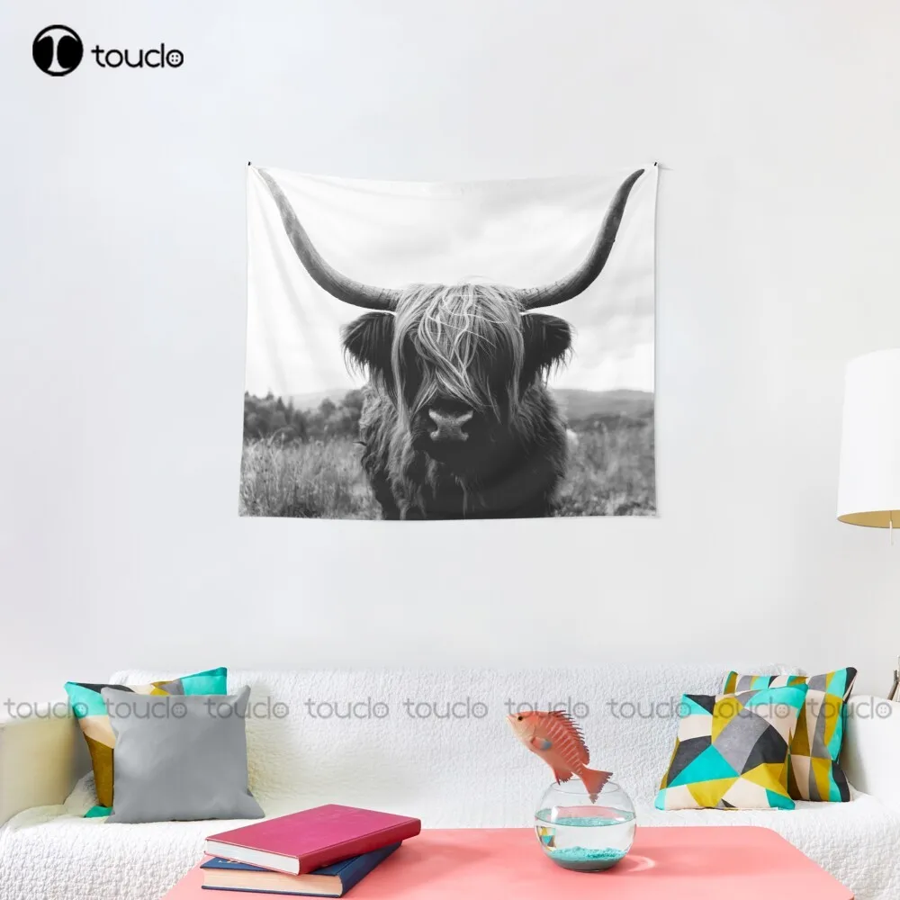 Scottish Highland Cattle - Bla - Photography Online recension och pris